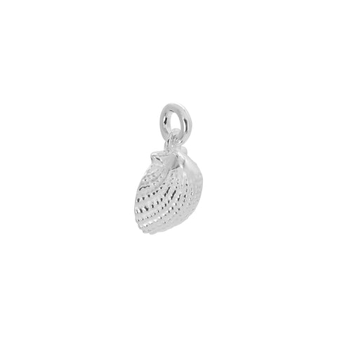 Charm concha de mar en plata de ley