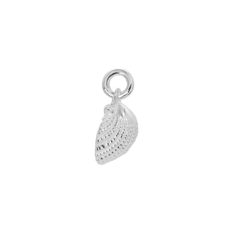 Charm concha de mar en plata de ley